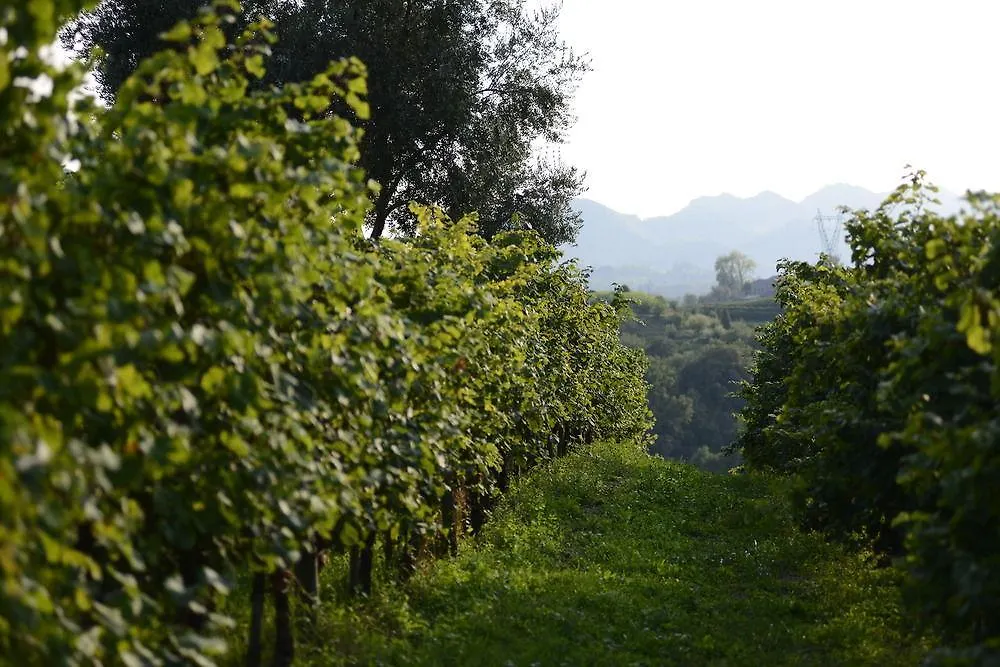 Duca Di Dolle Guest House Rolle 0*,  Italy